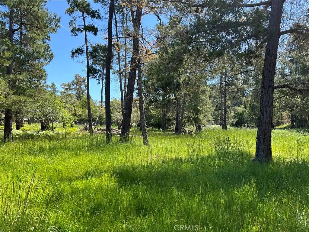 0 Kenneth, Cambria, CA 93428
