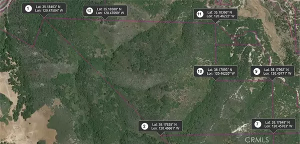 Arroyo Grande, CA 93420,0 Chanterelle