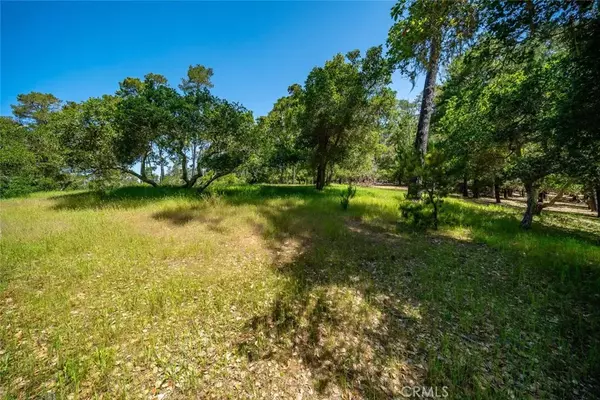 Cambria, CA 93428,6475 Kathryn