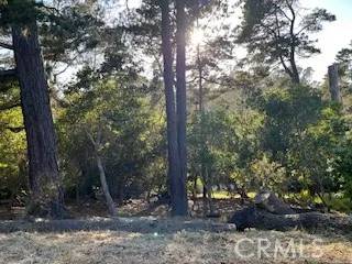 Cambria, CA 93428,0 Bradford