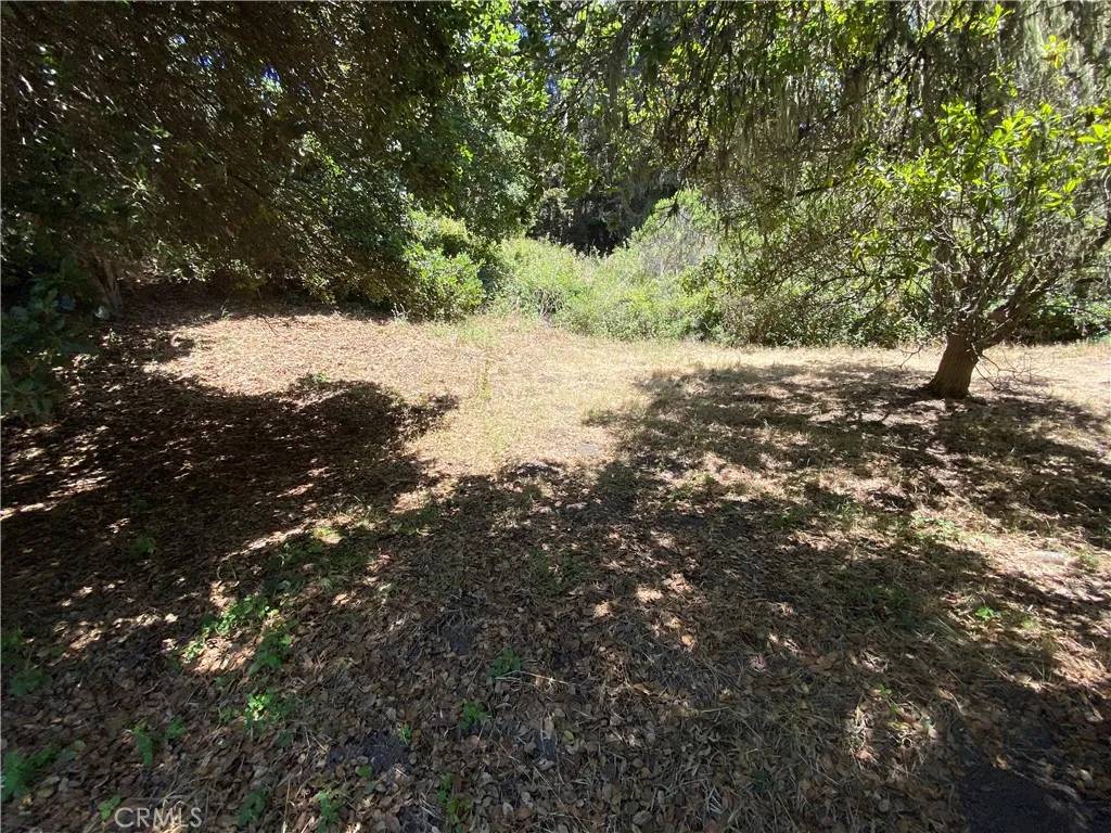 Cambria, CA 93428,0 Kent