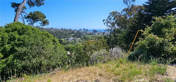 Cambria, CA 93428,0 Croyden