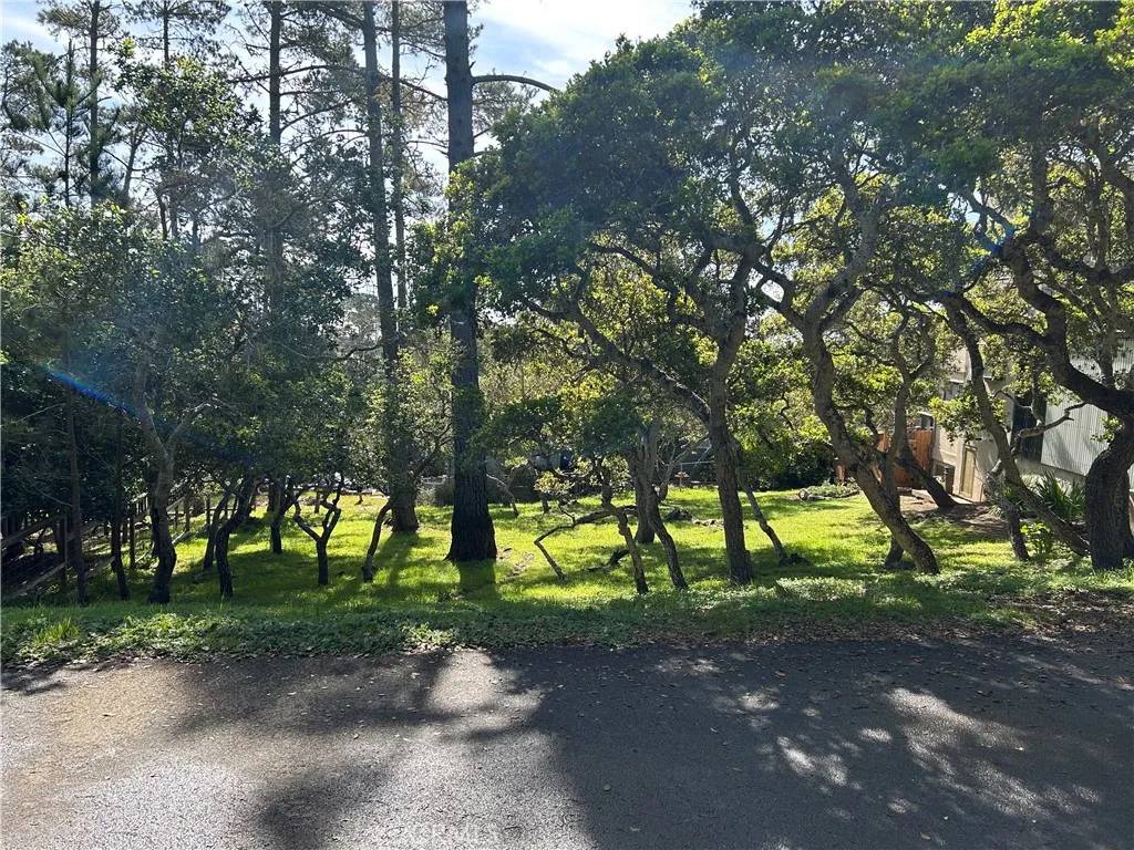 0 Benson, Cambria, CA 93428