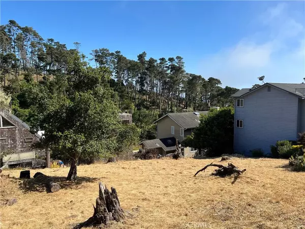 Cambria, CA 93428,0 Newhall