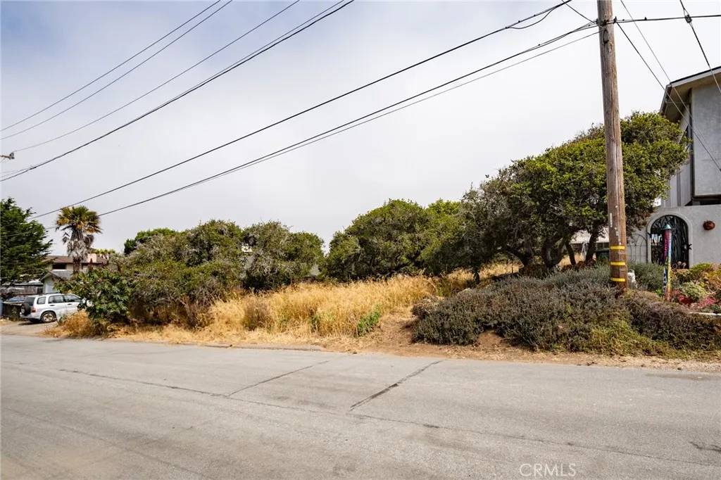 Los Osos, CA 93402,0 Ash