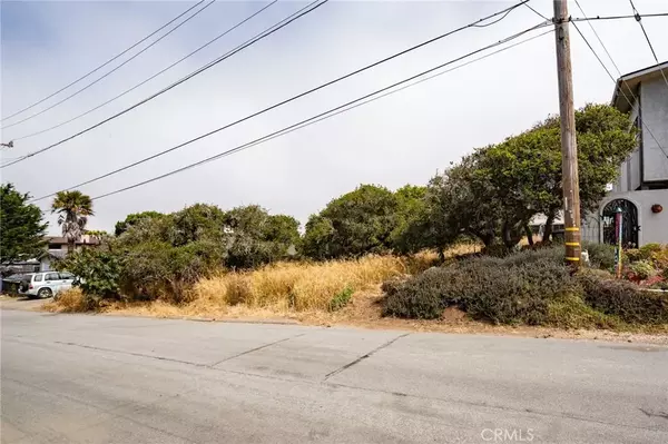 Los Osos, CA 93402,0 Ash