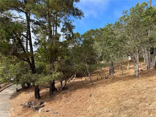 Cambria, CA 93428,0 Norwich