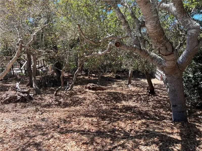 1845 Norwich, Cambria, CA 93428