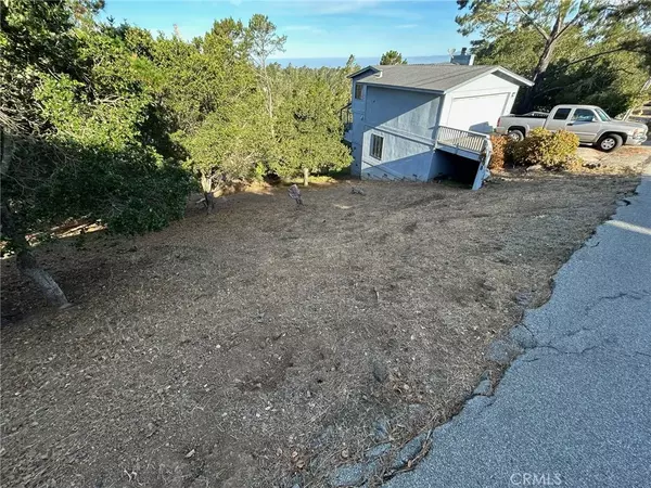 Cambria, CA 93428,0 Richard
