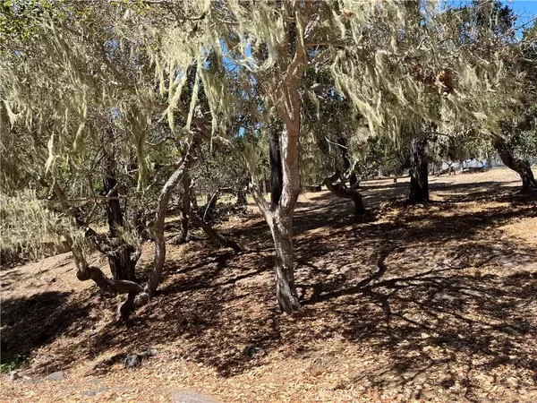 Cambria, CA 93428,34 Kenneth