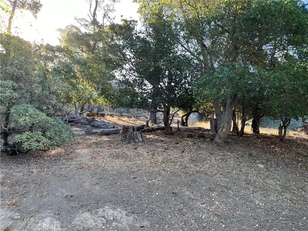 1670 Burton, Cambria, CA 93428