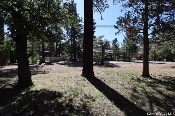 Sugarloaf, CA 92386,494 Los Angeles AVE #14,15,16