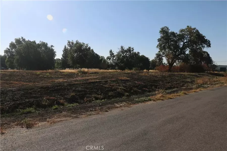 0 Walsh, Hamilton City, CA 95965