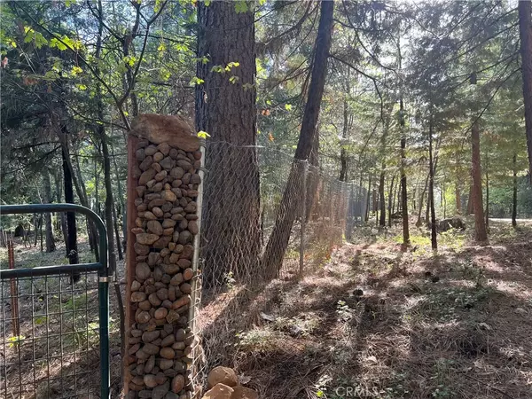 Forest Ranch, CA 95942,0 Headwaters