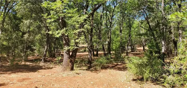 Magalia, CA 95954,0 Dylan