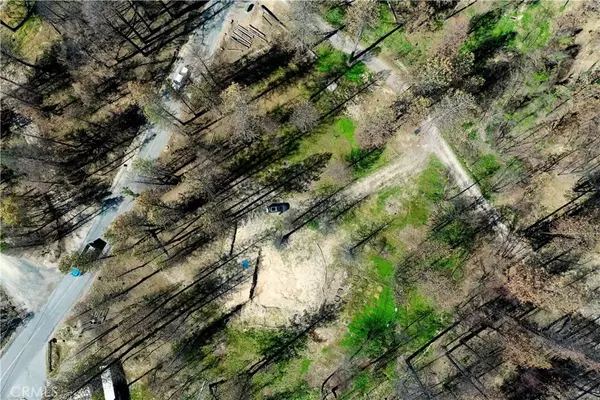 1029 Bald Rock, Berry Creek, CA 95916