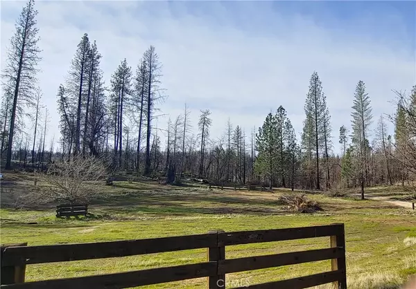 41 Raccoon, Berry Creek, CA 95916