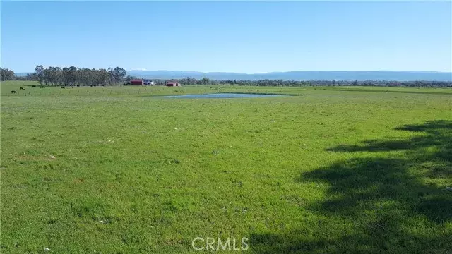 Corning, CA 96021,0 Unassigned Name
