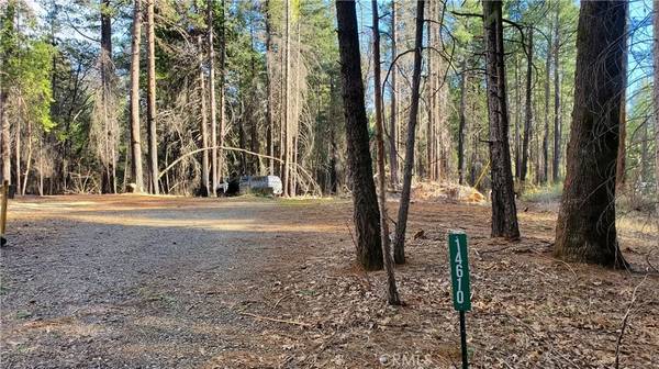 14610 Forest Ridge, Magalia, CA 95954