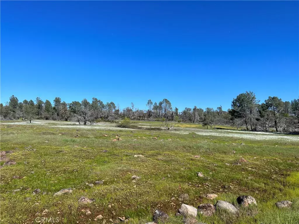 Paradise, CA 95969,0 Lindenbaum
