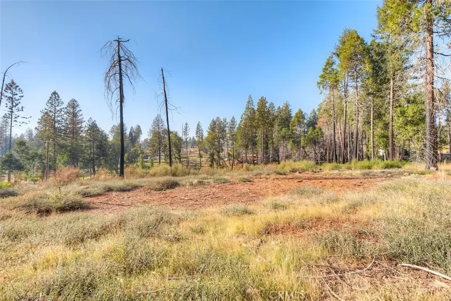 13923 Rutgers, Magalia, CA 95954