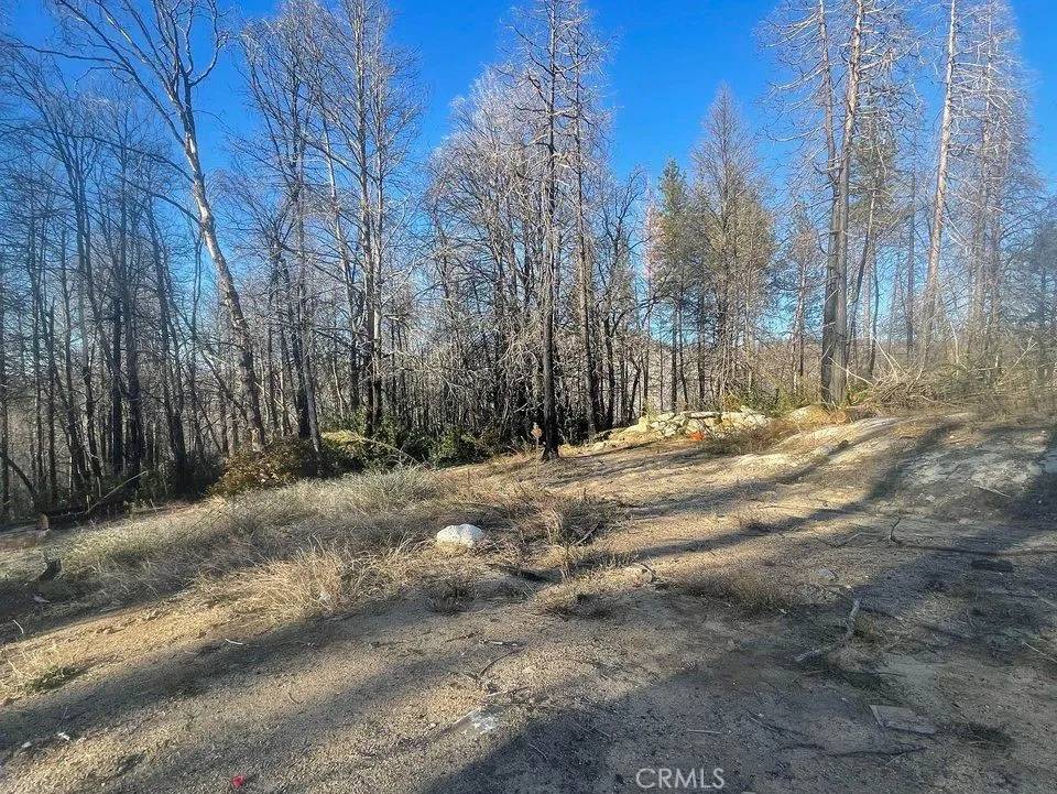2629 Bald Rock, Berry Creek, CA 95916