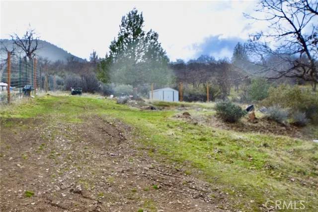 Hornbrook, CA 96044,0 Lot 356 Cougar