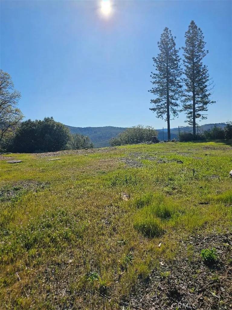 Magalia, CA 95954,13664 Skyway