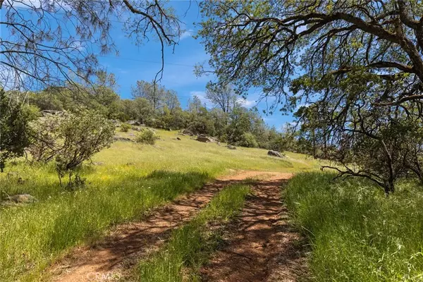 Oroville, CA 95965,5 Oregon Gulch Road