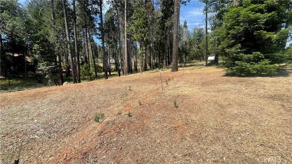 13937 Chestnut, Magalia, CA 95954