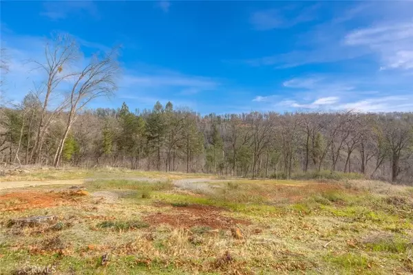 13460 Adrian, Magalia, CA 95954