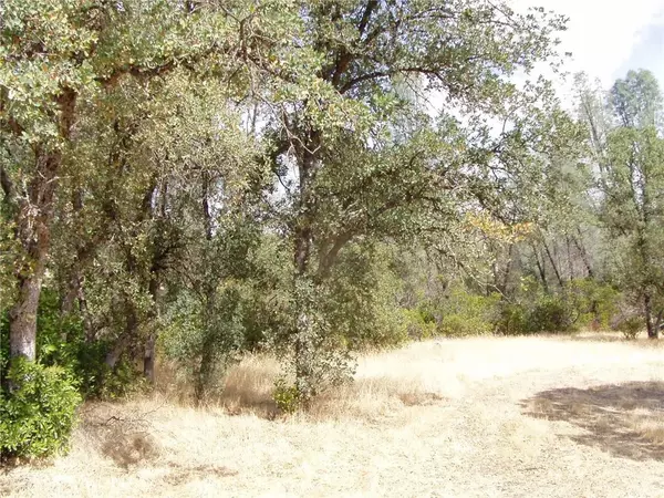 Corning, CA 96021,15838 El Dorado