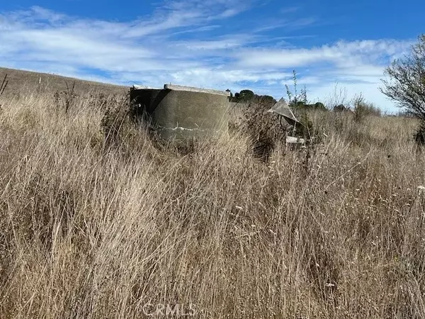 Bodega, CA 94922,330 Valley Ford Freestone