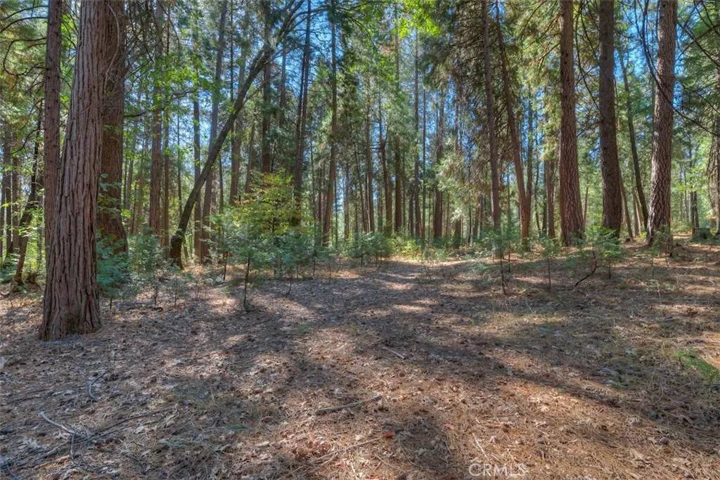 Magalia, CA 95954,0 Fern Glenn Way