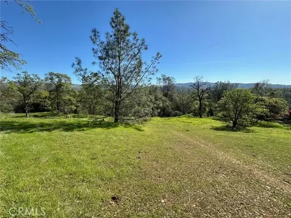 169 Shady Oak, Oroville, CA 95966