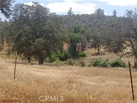 Bangor, CA 95914,0 Avacado