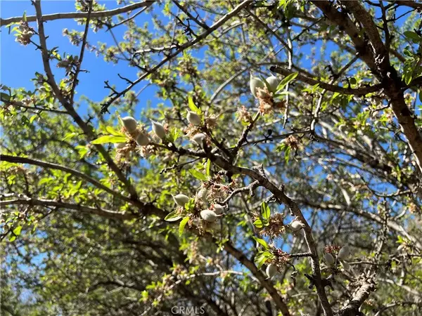 Chico, CA 95973,0 Cana