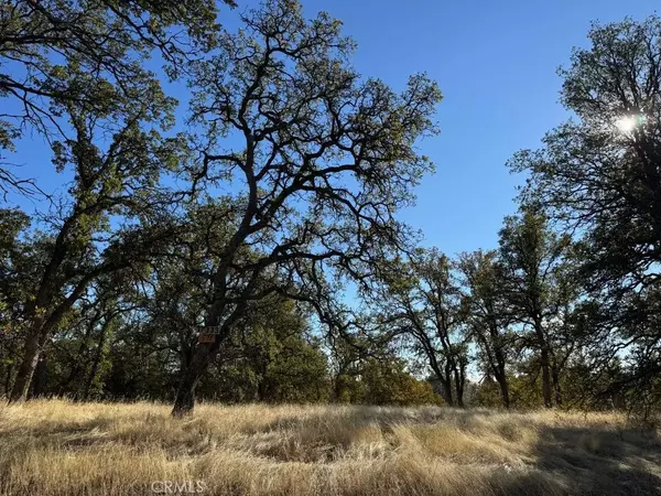 17333 Wagon Wheel Road, Corning, CA 96021
