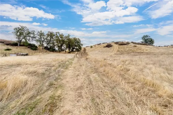 Corning, CA 96021,17315 Rancho Tehama Road