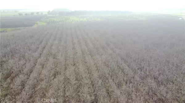 Colusa, CA 95932,7071 River Road