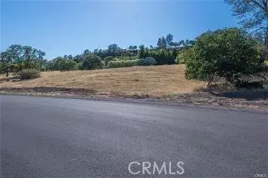 Chico, CA 95928,3460 Shadowtree