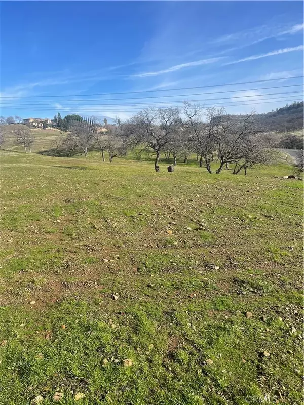 Chico, CA 95928,3460 Shadowtree