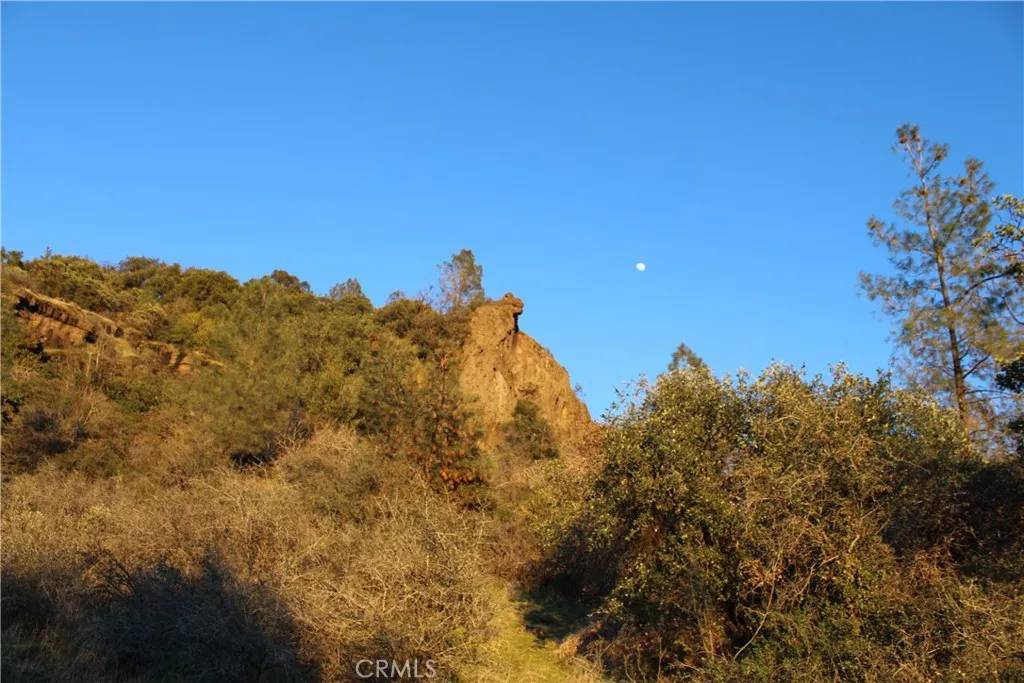 Magalia, CA 95954,14087 Nimshew