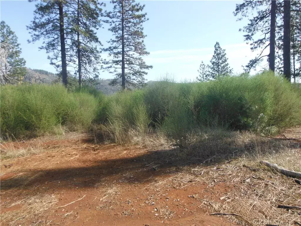 Magalia, CA 95954,13645 Skyway