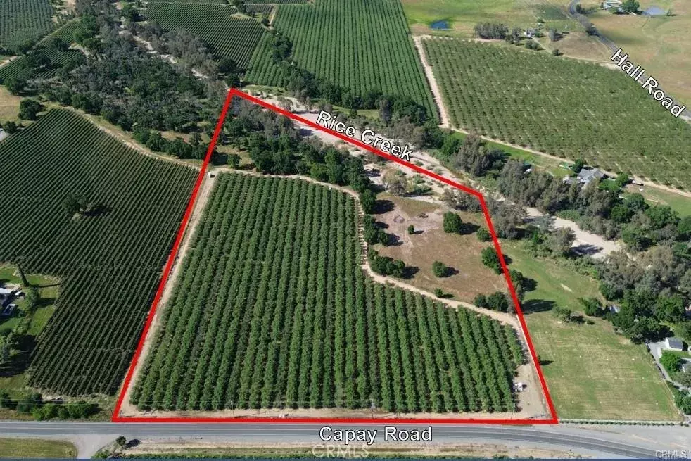 Corning, CA 96021,0 Capay