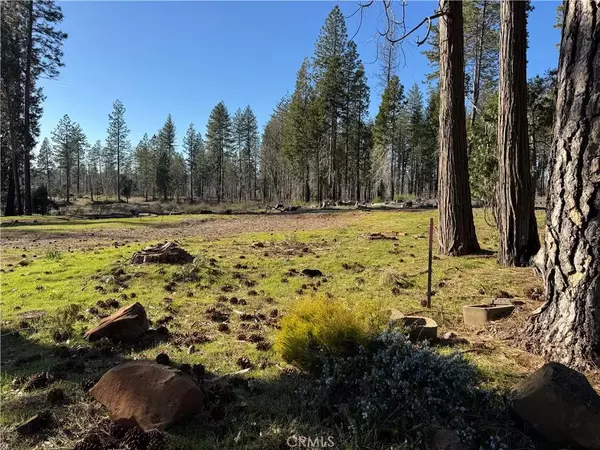 Magalia, CA 95954,13787 Curtis