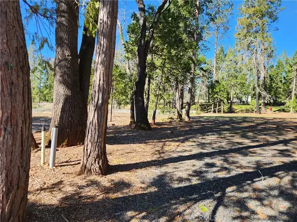 13705 Endicot, Magalia, CA 95954