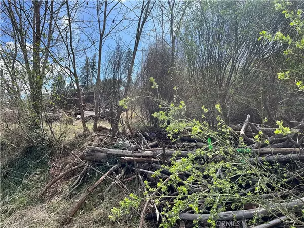 Magalia, CA 95954,13820 Sugar Pine