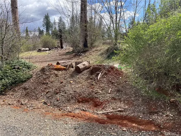 Magalia, CA 95954,13820 Sugar Pine