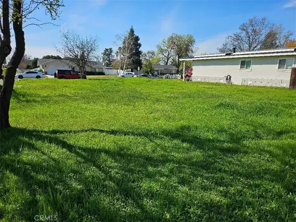 Corning, CA 96021,0 MARGUERITE